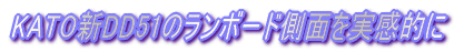 私のDD13
